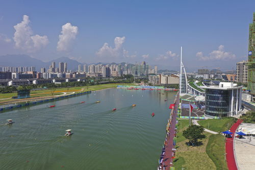 群眾比賽龍舟決賽溫州開賽，展現傳統體育魅力