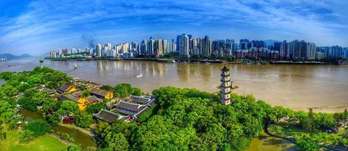 壽縣青少年龍舟隊出征全國賽，溫州賽場展風采